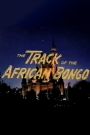 The Track of the African Bongo