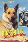 Rin Tin Tin: Hero of the West