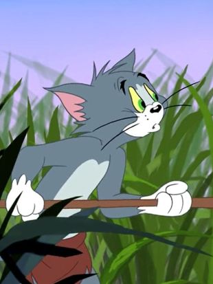 Tom and Jerry Tales : Jungle Love