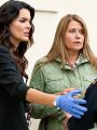 Rizzoli & Isles : She Works Hard for the Money