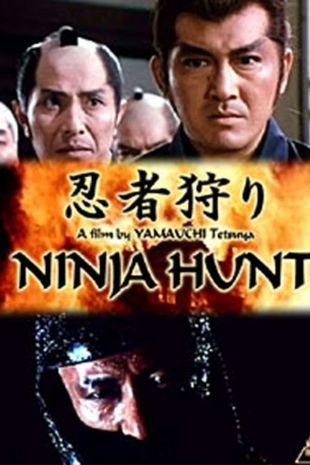 Ninja Hunt