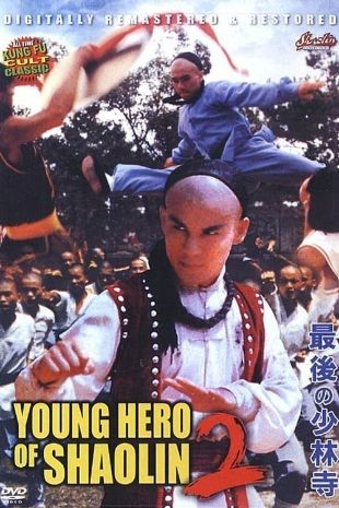 The Young Hero of the Shaolin