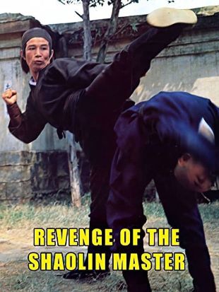Revenge of the Shaolin Master