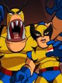 The Super Hero Squad Show : Too Many Wolverines!