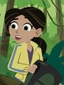 Wild Kratts : Birds of a Feather