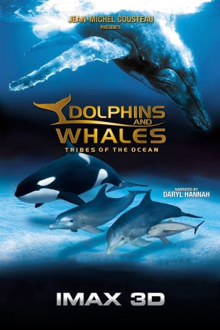 Dolphins and Whales: Tribes of the Ocean