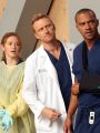 Grey's Anatomy : Seal Our Fate