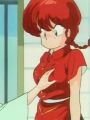 Ranma 1/2 : Love Me to the Bone! the Compound Fracture of Akane's Heart