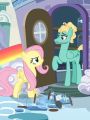 My Little Pony Friendship Is Magic : Flutter Brutter