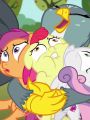 My Little Pony Friendship Is Magic : The Fault in Our Cutie Marks
