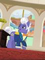 My Little Pony Friendship Is Magic : Viva Las Pegasus