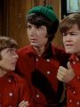 The Monkees : One Man Shy