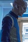 Star Trek: Discovery : The Wolf Inside