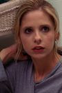 Buffy the Vampire Slayer : Seeing Red