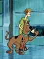 What's New Scooby-Doo? : Gold Paw