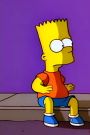 The Simpsons : Bart the Fink