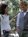 The Mentalist : Seeing Red