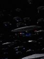 Star Trek: Deep Space Nine : The Sacrifice of Angels