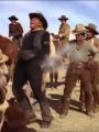 The High Chaparral : Bad Day for a Thirst