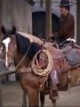 The High Chaparral : The Little Thieves