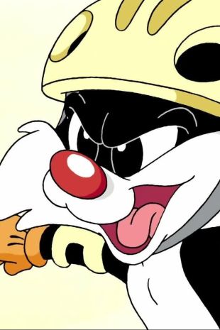 Baby Looney Tunes : New Cat in Town