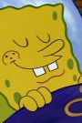 SpongeBob SquarePants : Sleepy Time