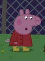 Peppa Pig : Night Animals