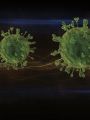 Breakthrough : Fighting Pandemics
