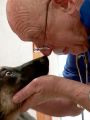 The Incredible Dr. Pol : Wizard of Paws
