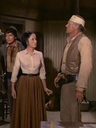 The High Chaparral : Trail to Nevermore