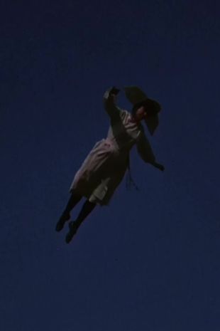 The Flying Nun : The Somnaviatrix