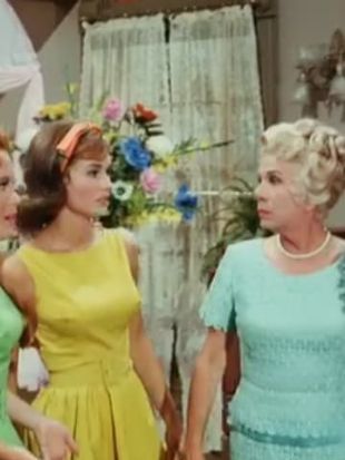 Petticoat Junction : Young Love