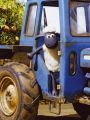Shaun the Sheep : Tidy Up