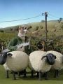 Shaun the Sheep : Shaun Encounters