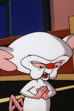 Pinky and the Brain : Hoop Schemes