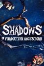 Shadows of Our Forgotten Ancestors