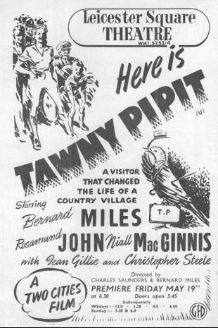 Tawny Pipit