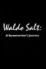 Waldo Salt: A Screenwriter's Journey