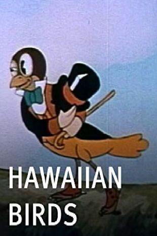 Hawaiian Birds