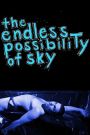 The Endless Possibility of Sky