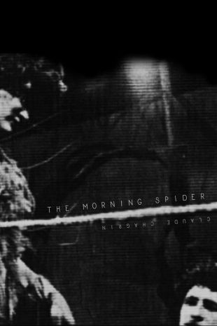 The Morning Spider