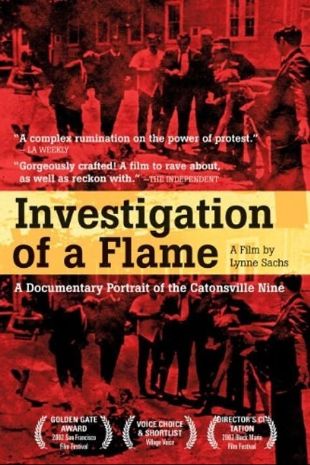 Investigation of a Flame