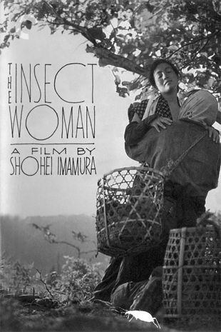 The Insect Woman