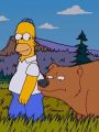 The Simpsons : The Fat & the Furriest