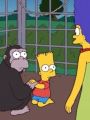 The Simpsons : Bart Has Two Mommies