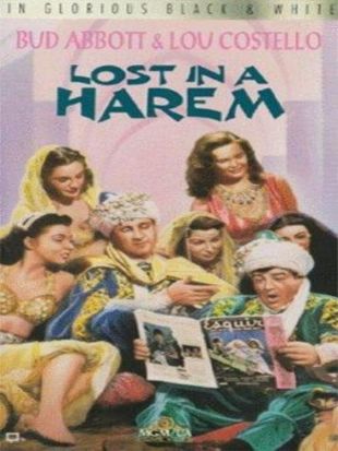 Lost in a Harem