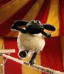 Shaun the Sheep : Big Top Timmy