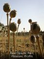 Raw Opium: Pain, Pleasure, Profits