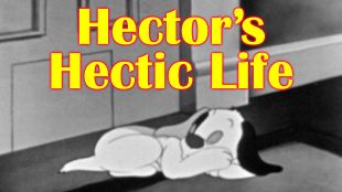 Hector's Hectic Life