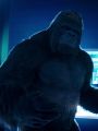 The Flash : Grodd Friended Me